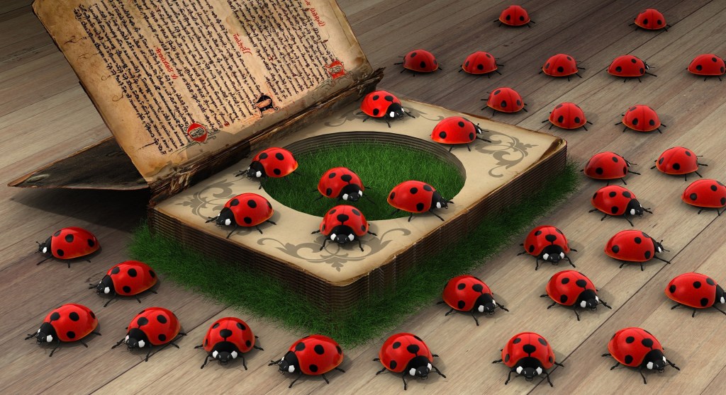 Ladybugs/Ladybirds make for Math/Maths Book&nbsp;Magic